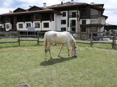 Horse Riding Smolyan