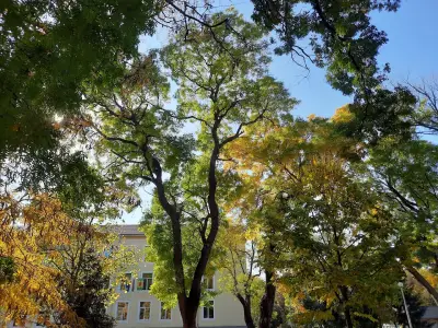 Професионална гимназия по ветеринарна медицина „Проф. д-р Георги Павлов“