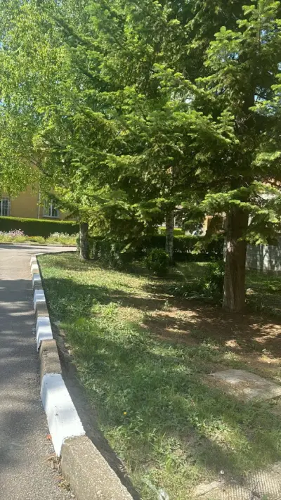 Държавна психиатрична болница