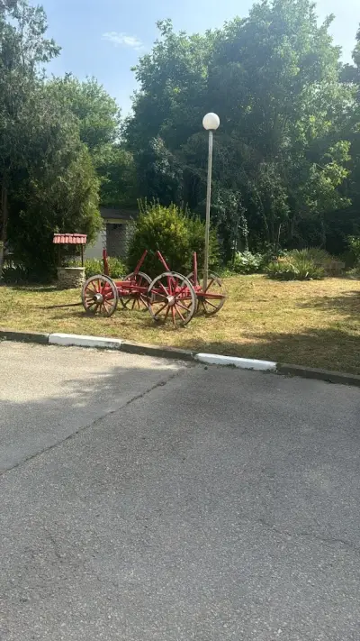 Държавна психиатрична болница