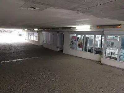 Веги