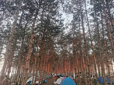 Къмпинг зона „Езерец“