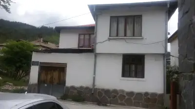 Супермаркет При Баджанаците