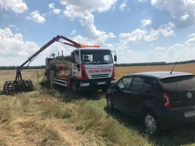АГРООКАЗИОН КОЛЕВИ