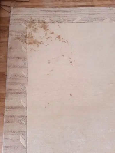 Kanev Carpet | Център за машинно пране на килими София