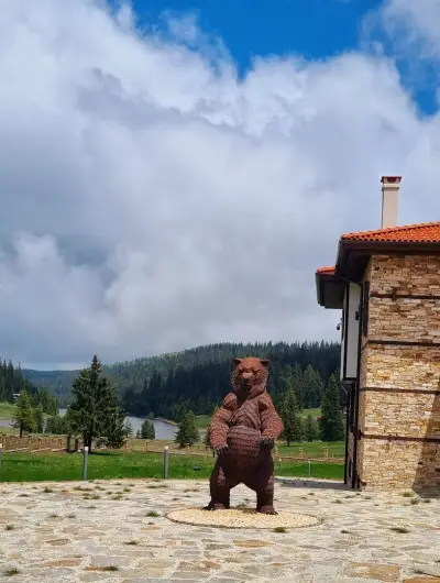 ХОТЕЛ РОДОНА