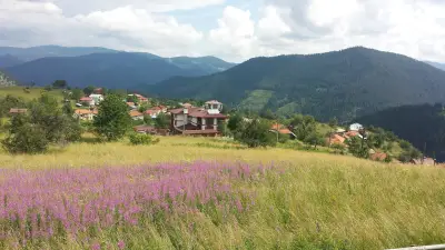 ВИНАРА