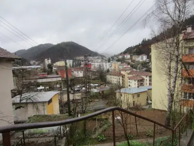 СОУ "Отец Паисий"