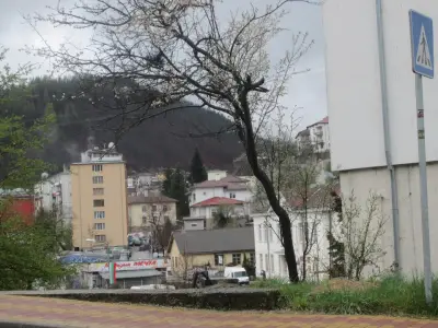СОУ "Отец Паисий"