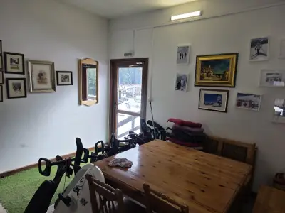 Skielite