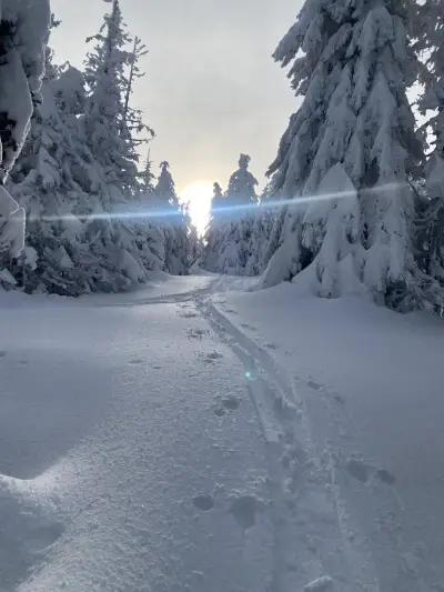 Skielite