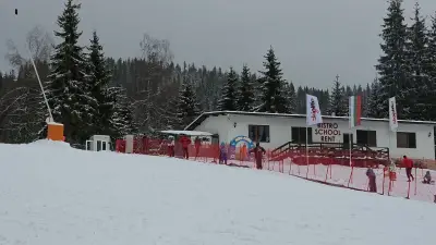 Skielite