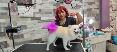 Груминг услуги Русе Grooming Studio GAGI