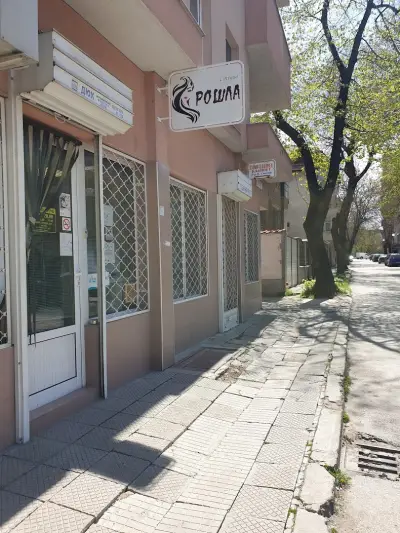 СТУДИО РОШЛА