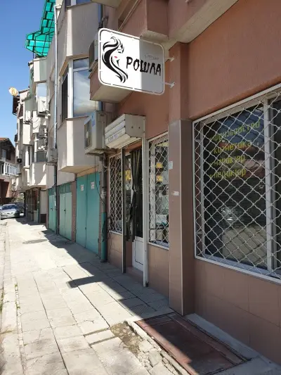 СТУДИО РОШЛА