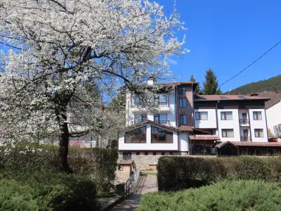 Guest House Kiprovets