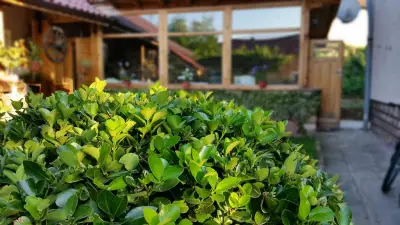 Yonkin Guest Rooms