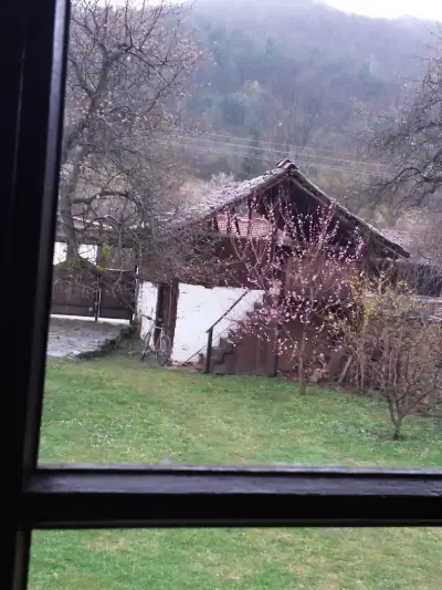 Clay House