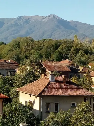 Комплекс Чинарите