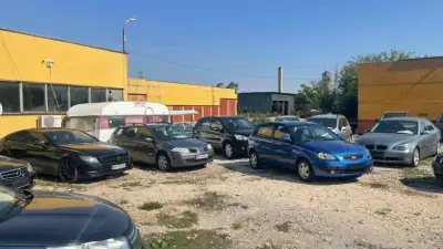 DIMOVI CARS