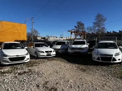DIMOVI CARS