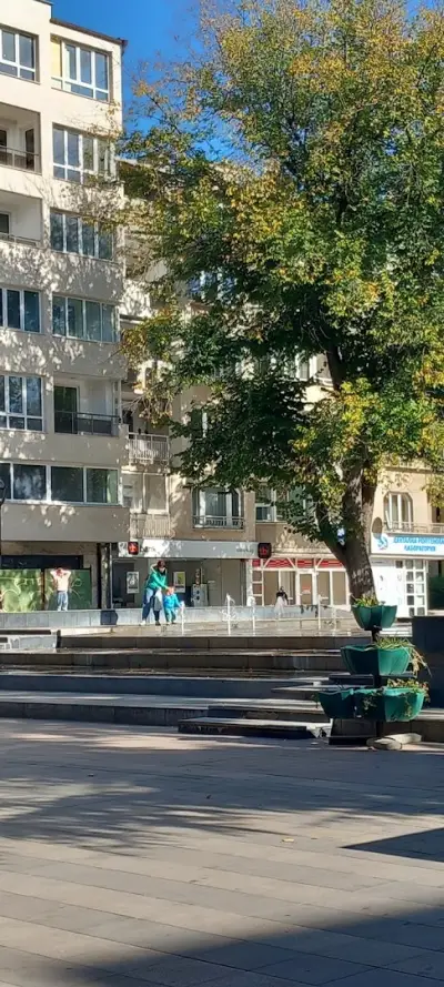 Туристическа агенция "Бохемия"