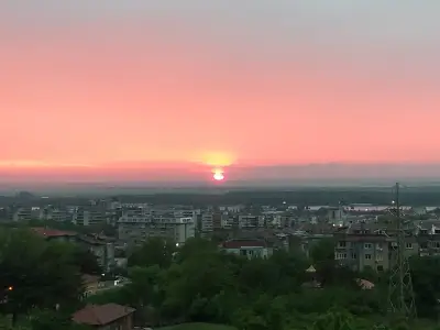 ПАЦОНИ
