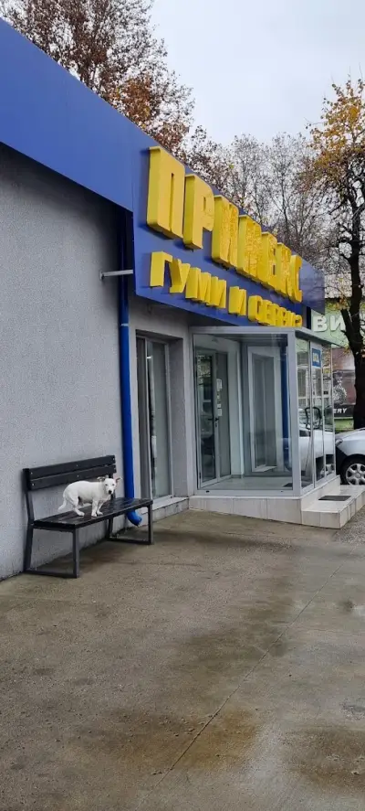 ПРИМЕКС
