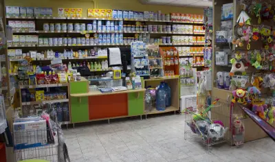 Бебе Маркет Cheddo Express Борисова