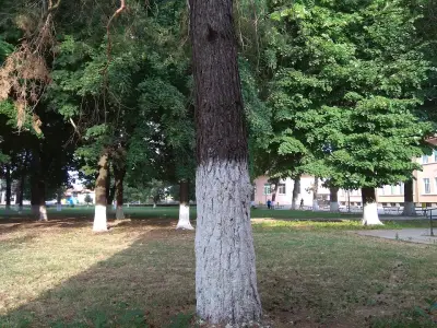 СОУ СВ.ПАИСИЙ ХИЛЕНДАРСКИ