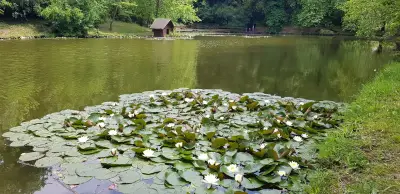 Rezidencija Lipnik