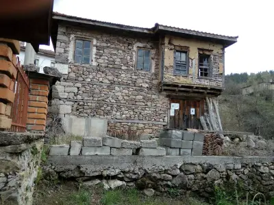 The Pink House