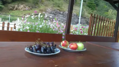 Комплекс Петлето