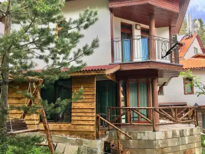 Pamporovo Villa