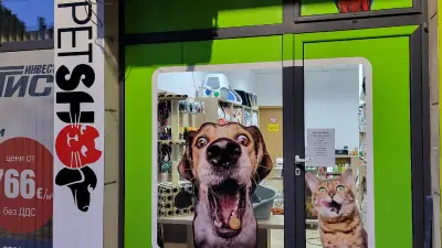 Pet Shop K&S