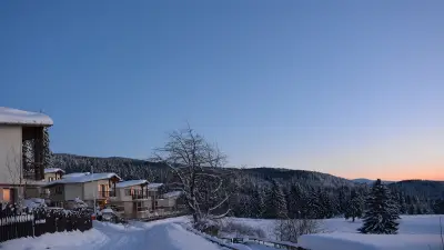 Вили Амампури