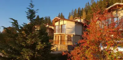 Вили Амампури