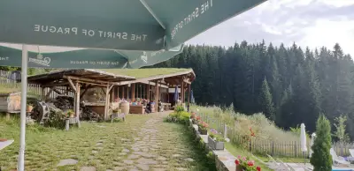 Вили Амампури