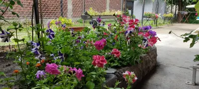 Стаи за гости Венеция - Нощувки в Русе