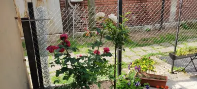 Стаи за гости Венеция - Нощувки в Русе