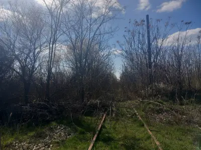 Кастрационен Център СГБПЖ