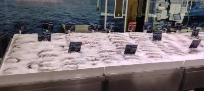 МЕТРО, Русе