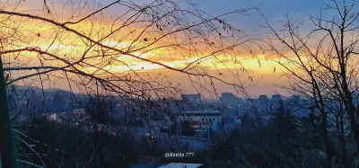 РОСИ ЕЛ ЕЛ ДЖИ