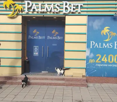 Палмс бет