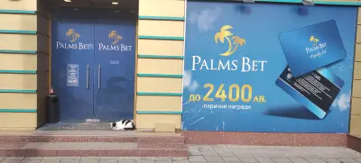 Палмс бет