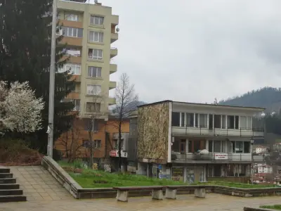 КАНЕФ ООД