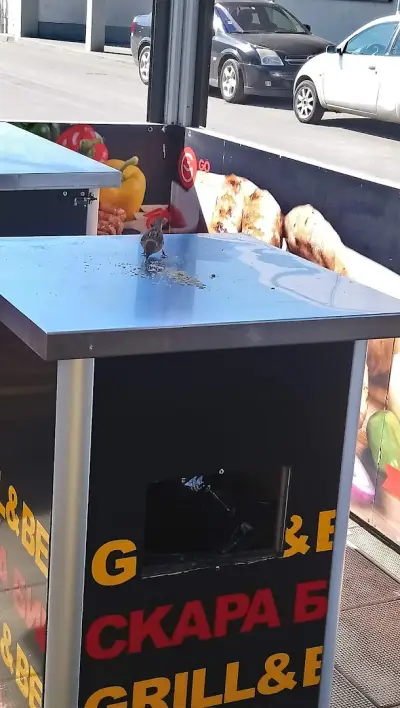 GO GRILL