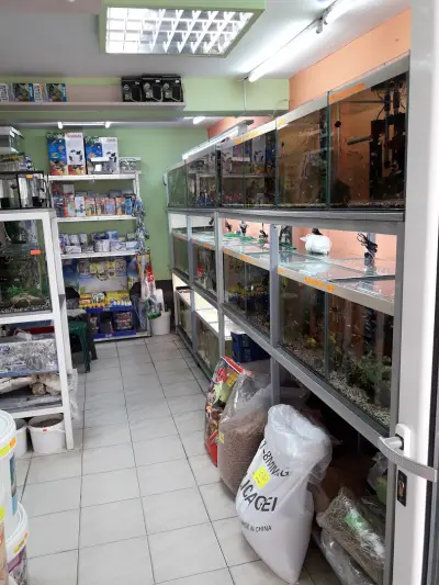 Акваристика и Зоомагазин в Русе-"Аквазоо Немо"