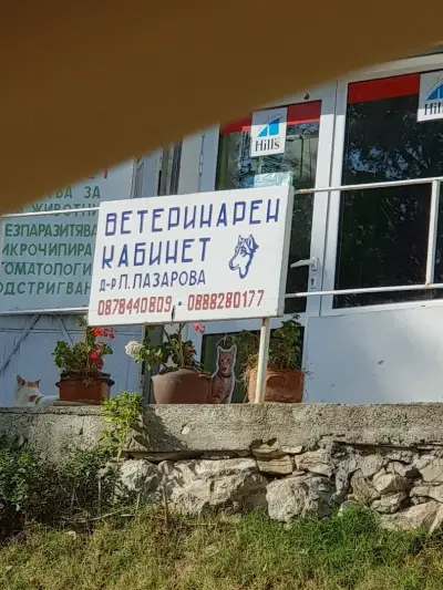 ЛИЛИВЕТ