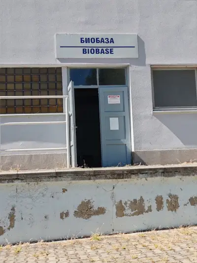 Университетска ветеринарна болница